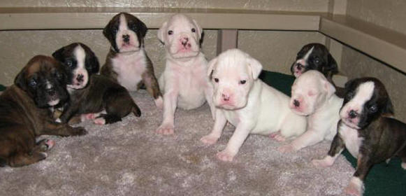 Description: Description: IMG_5666 (Small)