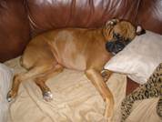 Description: Description: PC060350 (Small)