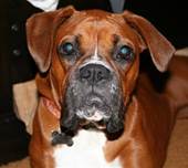 Description: Description: IMG_0357 (Small)