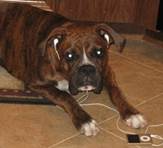 Description: Description: IMG_4689 (Small)