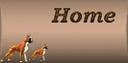 Description: Description: boxerhome